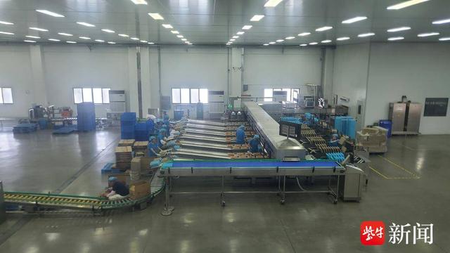 向“新”而行、逐“綠”而變，南通精繪城鄉(xiāng)融合美麗新圖景